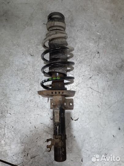 Амортизатор передний Rapid