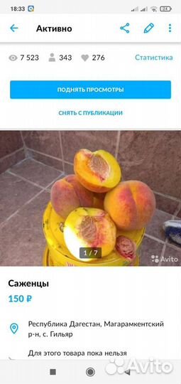 Саженцы