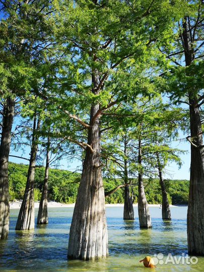 Экскурсии из Анапы круглый год