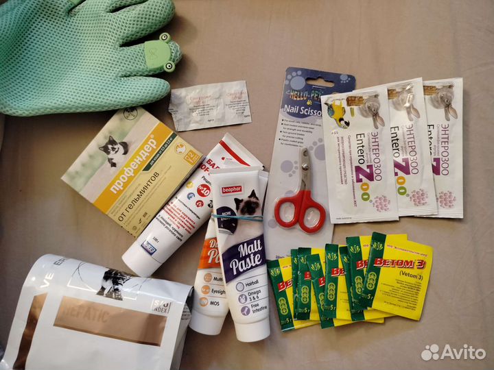 Корм и вещи для кошек