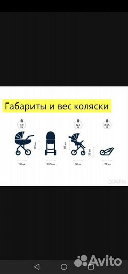 Коляска anex sport 2 в 1