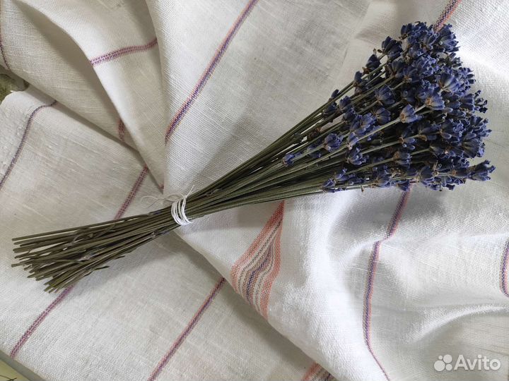 Лаванда сухоцвет