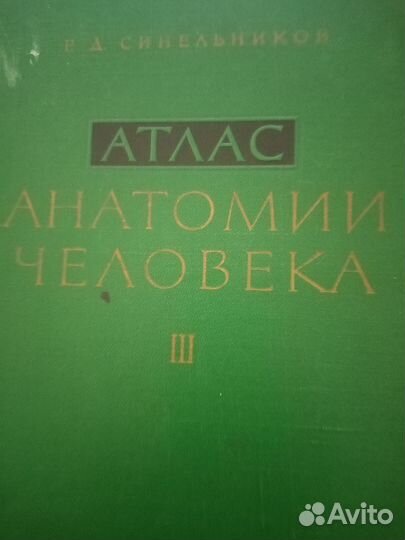 Атлас анатомии человека синельников