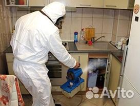 Уничтожение клопов,клещей,тараканов
