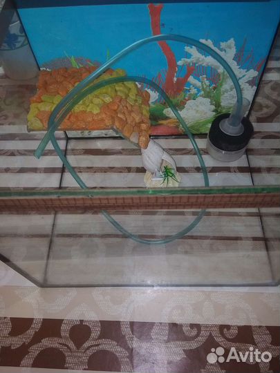 Аквариум