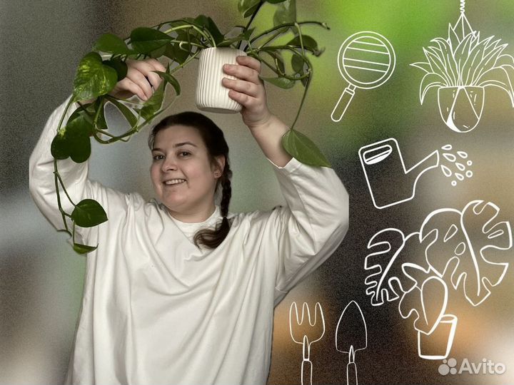 Специалист по комнатным растениям