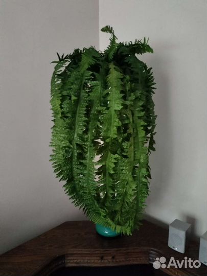 Ваза с папоротником