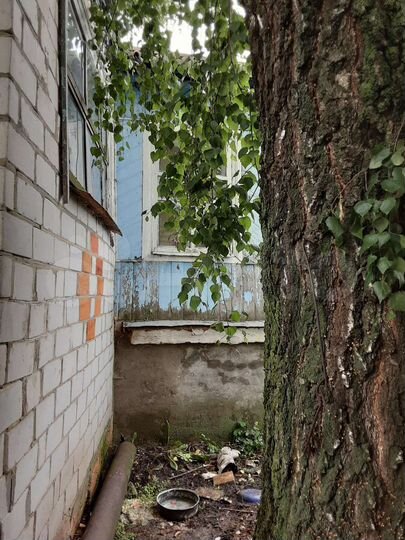 Дом 59 м² на участке 25 сот.