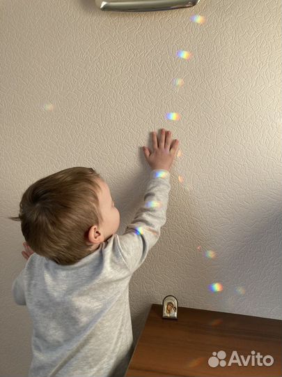 Ловец солнца