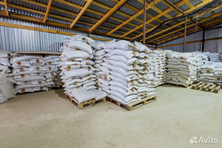 Сухой корм для собак