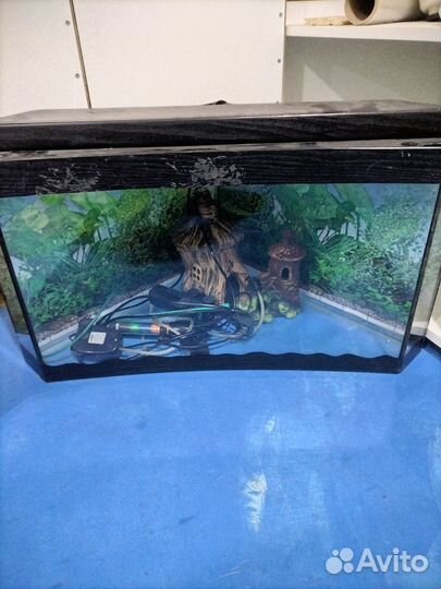 Аквариум с принадлежностями