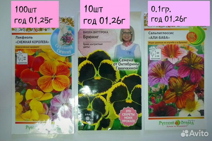 Семена Цветов,семена кактуса