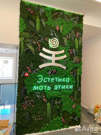 Эко-дизайн: стены из растений. Арт: 215371
