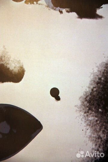 Энди Уорхол (1928-1987) 