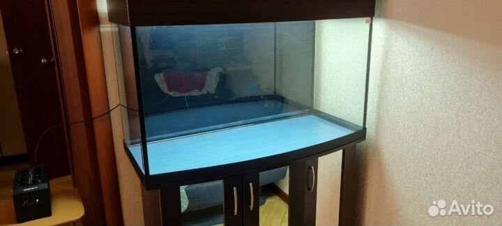 Панорамный аквариум с тумбой Аквас 250 л