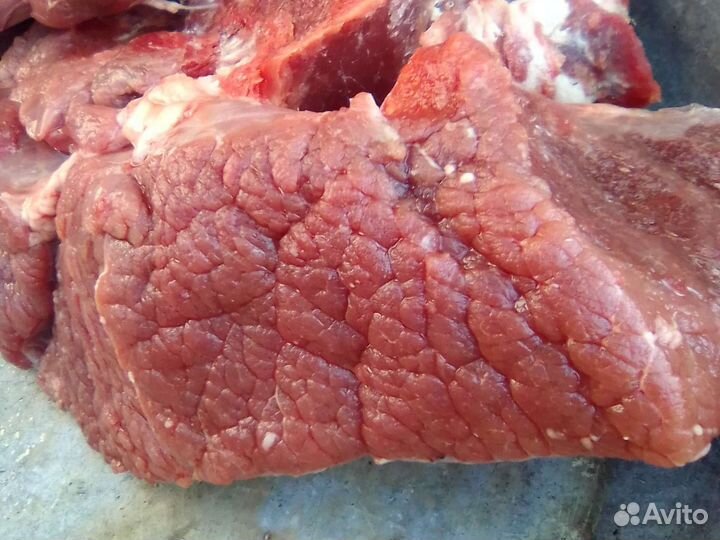 Мясо говядина домашняя