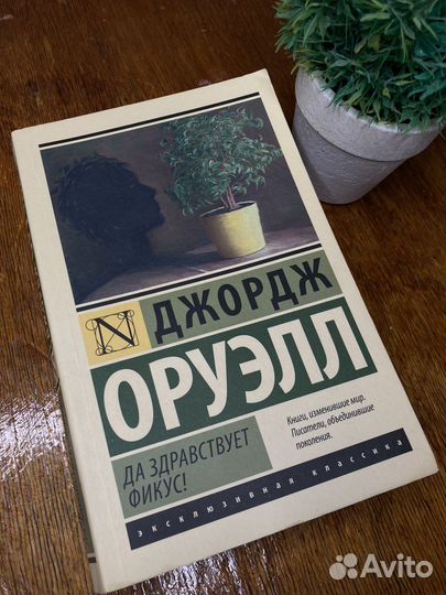 Да здравствует фикус