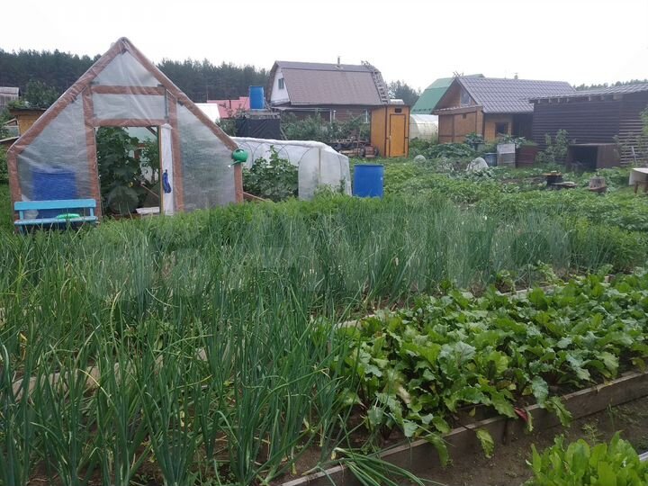 Дача 22 м² на участке 5 сот.