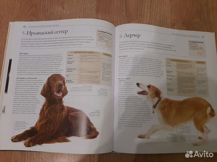 Книга Все породы собак