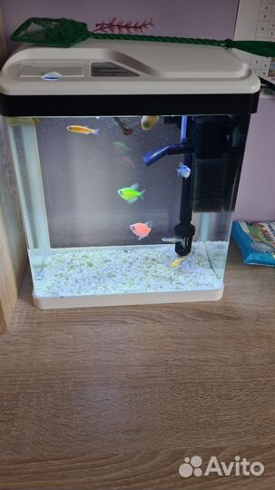 Аквариум с рыбками