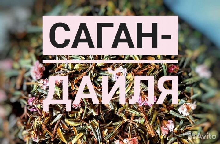 Чай саган дайля