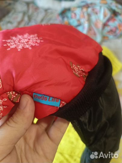 Одежда для маленьких собак