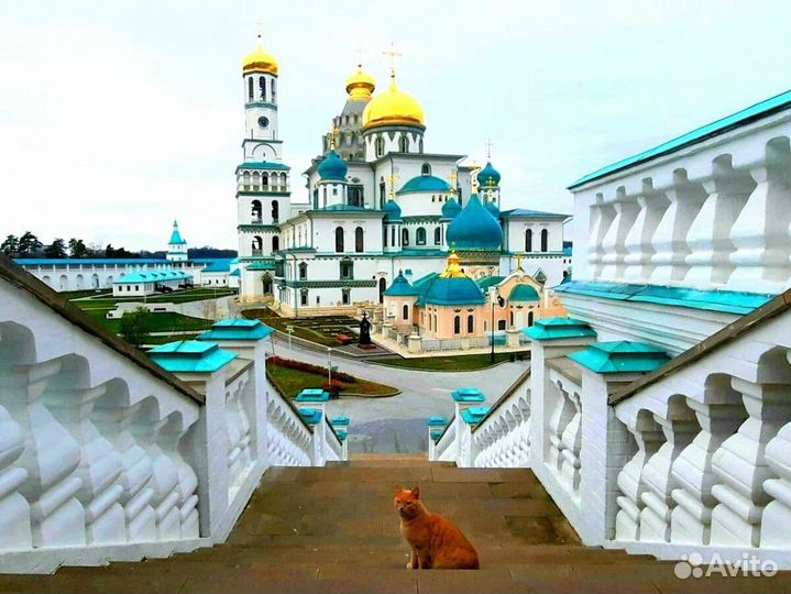 Охрана в Ново-Иерусалимский монастырь с улчо