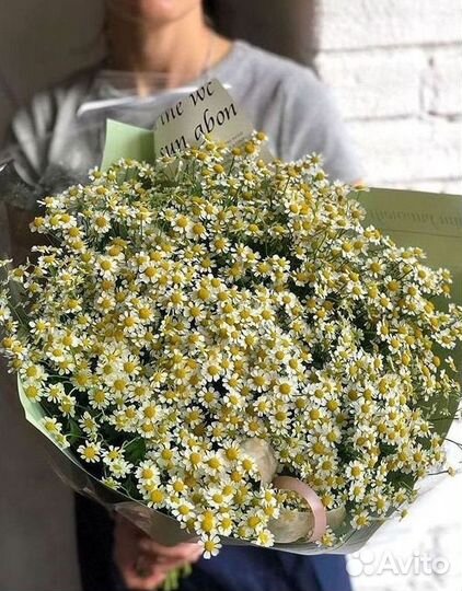 Ромашки букет