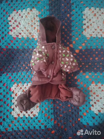 Одежда для маленьких собак бу