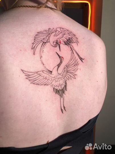 Обучение тату + стажировка