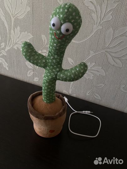 Музыкальный кактус