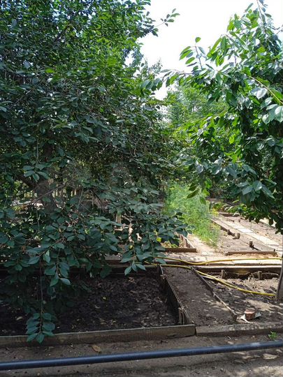 Дача 40 м² на участке 6,1 сот.