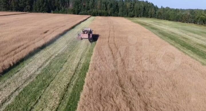 Участок 10000 га (СНТ, ДНП)