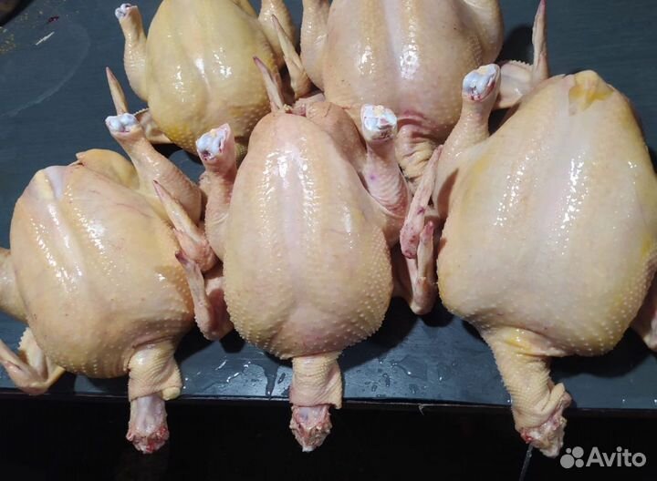 Куры фермерские