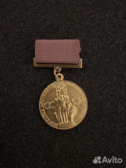 Нагрудный знак За успехи в народном хозяйстве