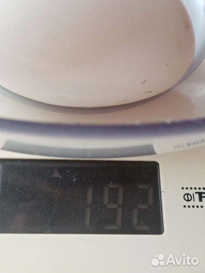 Яйцо гусиное/инкубационное