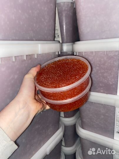 Красная икра с Магадана