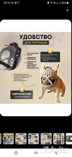 Намордник для собак брахицефалов