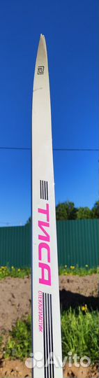 Лыжи беговые fisher speedmax классические