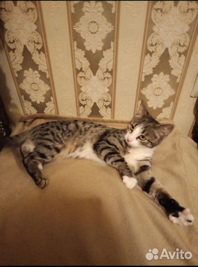 В самые добрые ручки