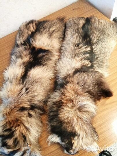 Шкурка енота