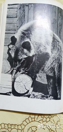 Книги о животных