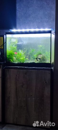 Аквариум 149 литров с тумбой, светом, фильтром