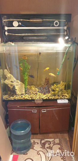 Аквариум 320л