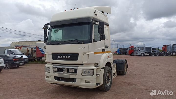 КамАЗ 5490 NEO, 2017