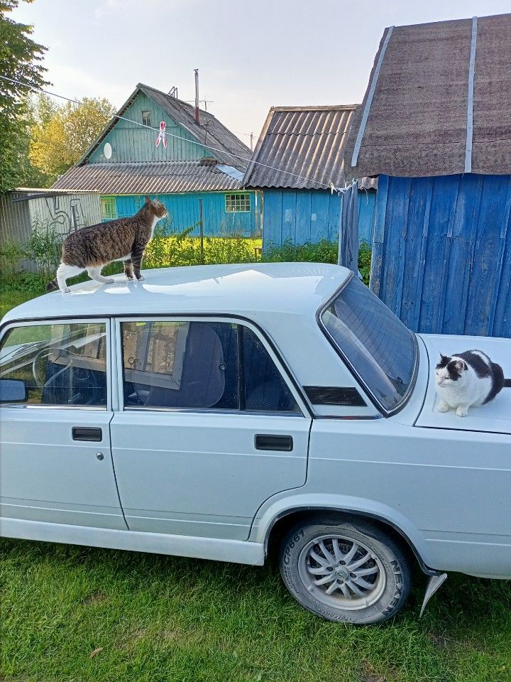ВАЗ (LADA) 2107: фото владельца