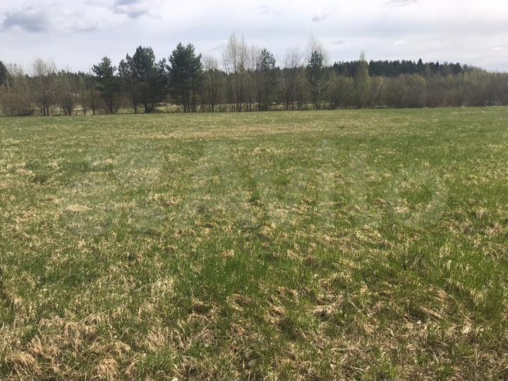 Участок 3,6 га (ИЖС)