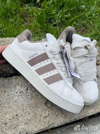 Кеды adidas campus женские