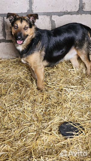 Кай ищет дом