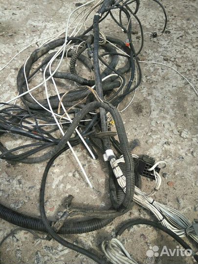 Термокинг мозги